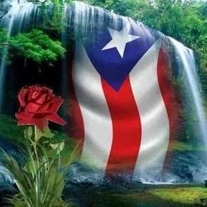 Meet your Posher, Iraida